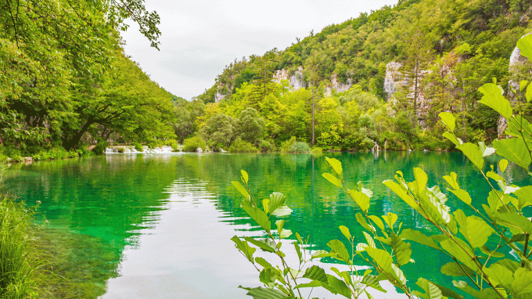 Enjoyable And Effortless Journey Into Nature’s Wonders