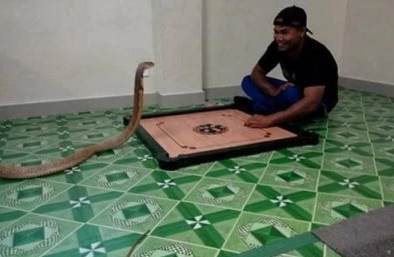 snapshot_161112_130557