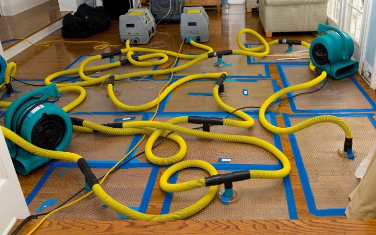 The Top Water Damage Repair Specialists in Tacoma: A Comprehensive Guide