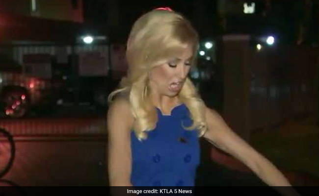 Viral Video: Before the Live Show, the TV reporter blows on the ...